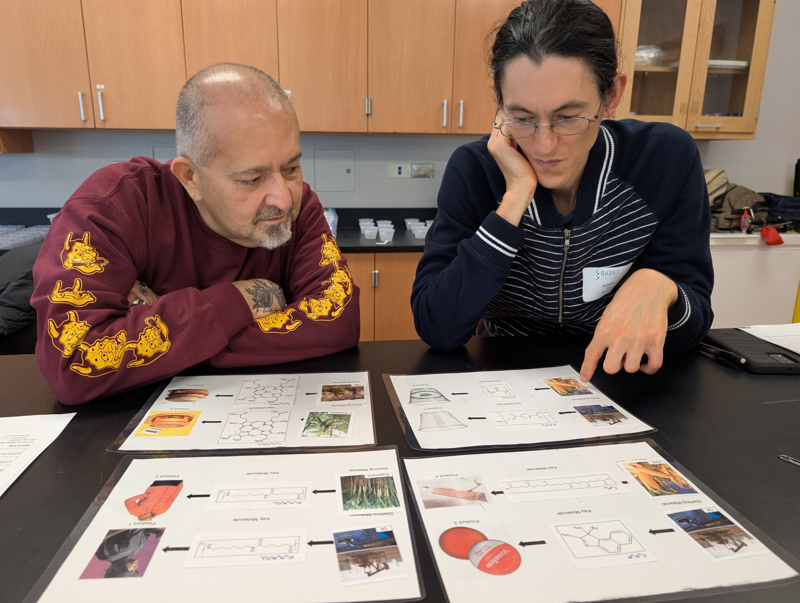 Teachers examining pictures for the biofuel activity